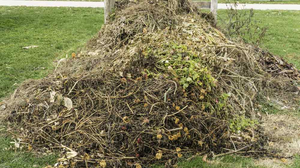 Image of green waste