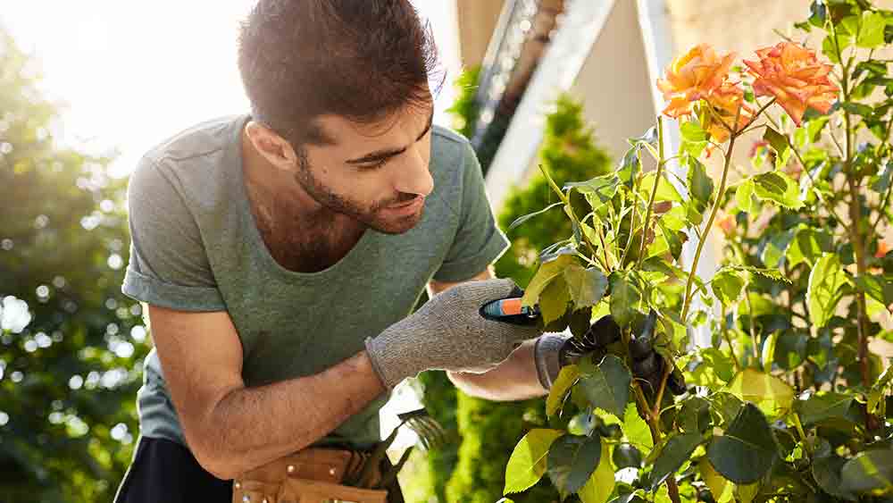 flower cutting is a type of green waste