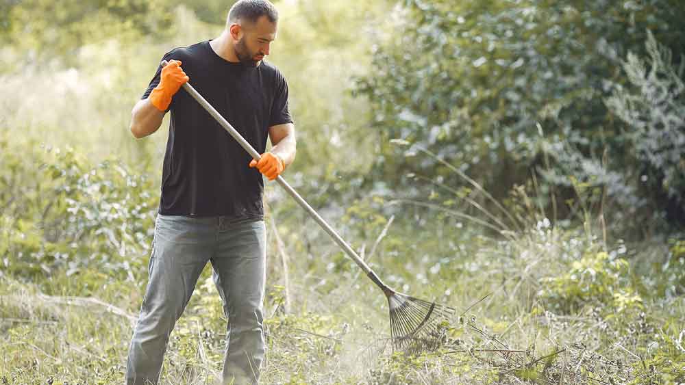 Man keeping the garden clean