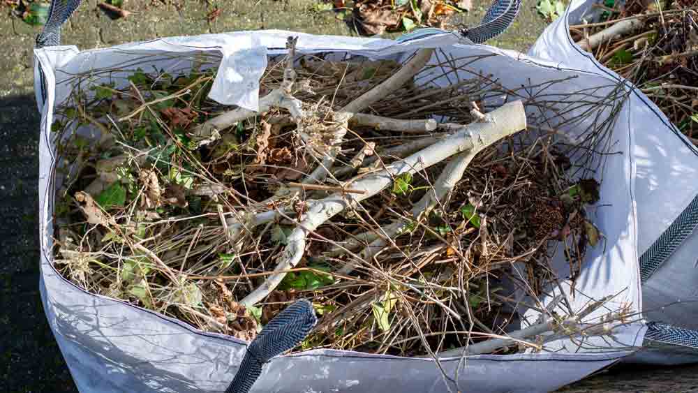 Garden waste in a back