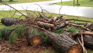 Debris Of A Fallen Tree Scattered Across A Yard After A Storm Which Steve's Rubbish Removals Can Help Clean Up